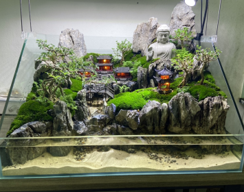 Thi công thiết kế tiểu cảnh bán cạn