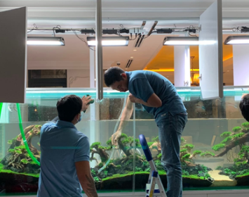 Bảo trì hồ thủy sinh