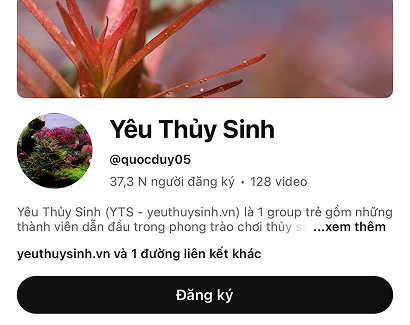 IAPLC 2021 - Rank #632 [by Yeuthuysinh]