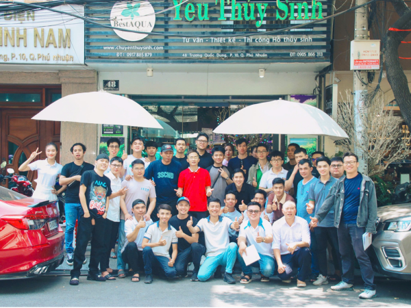 Chúng Tôi Tạo Sự Khác Biệt Và Sáng Tạo Trong Thiết Kế Hồ Thủy Sinh